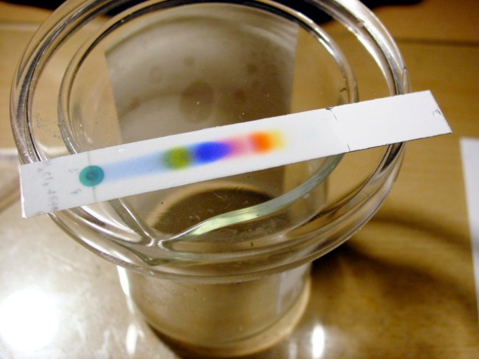 Chroma : L’analyse chromatographique informatisée