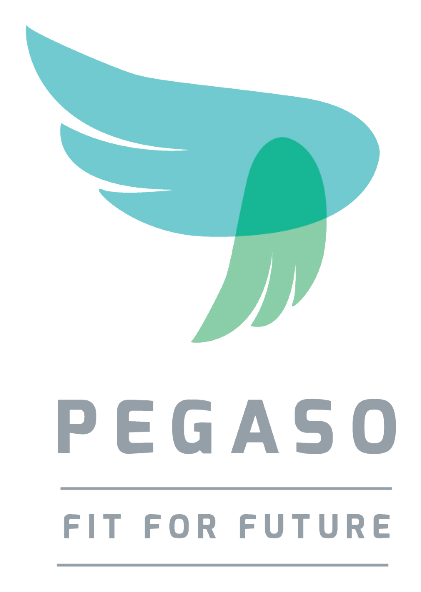 PEGASO. Fit for future.