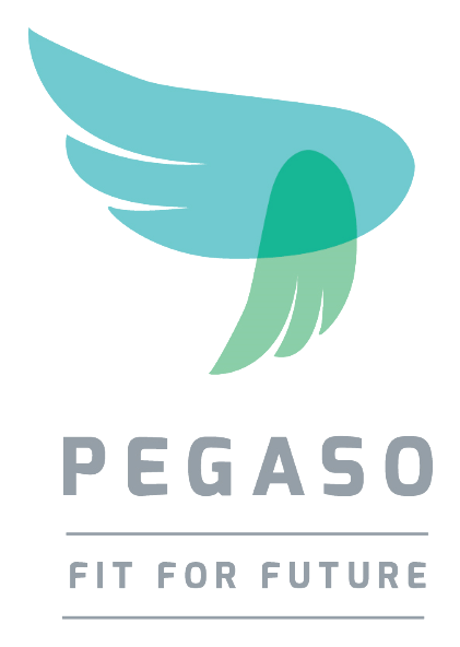 PEGASO. S’adapter au futur.