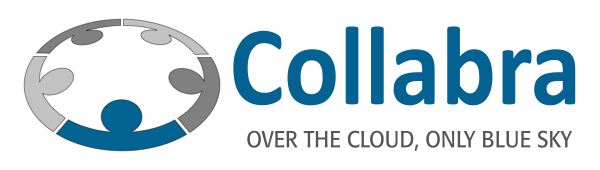 COLLABRA. Professional Email and Remote Data Backup services.